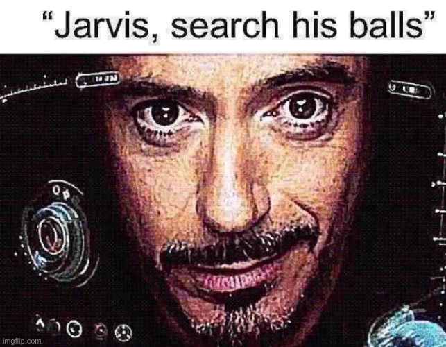 Jarvis, search his balls | image tagged in jarvis search his balls | made w/ Imgflip meme maker
