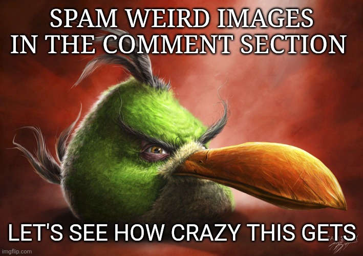 I'm lowk scared | SPAM WEIRD IMAGES IN THE COMMENT SECTION; LET'S SEE HOW CRAZY THIS GETS | image tagged in realistic angry bird | made w/ Imgflip meme maker