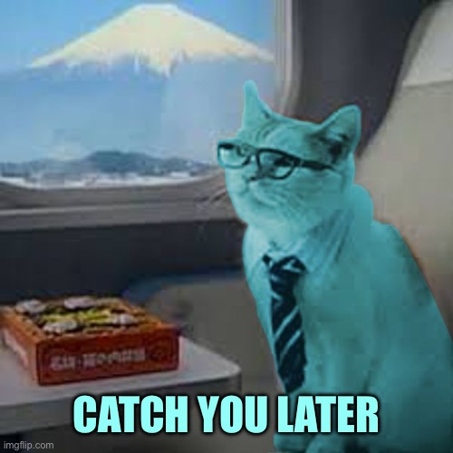 CATCH YOU LATER | image tagged in raycat on fuji train | made w/ Imgflip meme maker