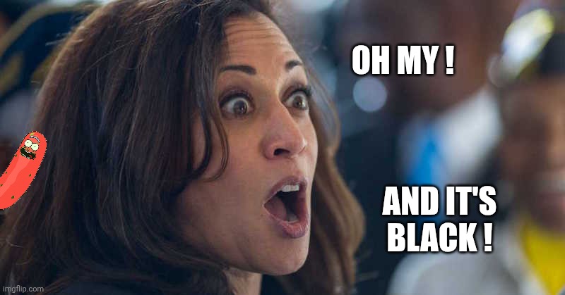 kamala harriss | OH MY ! AND IT'S BLACK ! | image tagged in kamala harriss | made w/ Imgflip meme maker