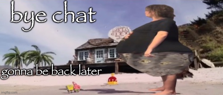 wide load | bye chat; gonna be back later | image tagged in wide load | made w/ Imgflip meme maker
