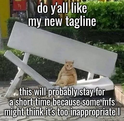 cat on broken bench | do y'all like my new tagline; this will probably stay for a short time because some mfs might think it's too inappropriate l | image tagged in cat on broken bench | made w/ Imgflip meme maker