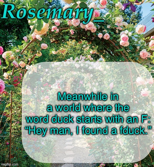 Rosemary_ template | Meanwhile in a world where the word duck starts with an F:

“Hey man, I found a fduck.” | image tagged in rosemary_ template | made w/ Imgflip meme maker