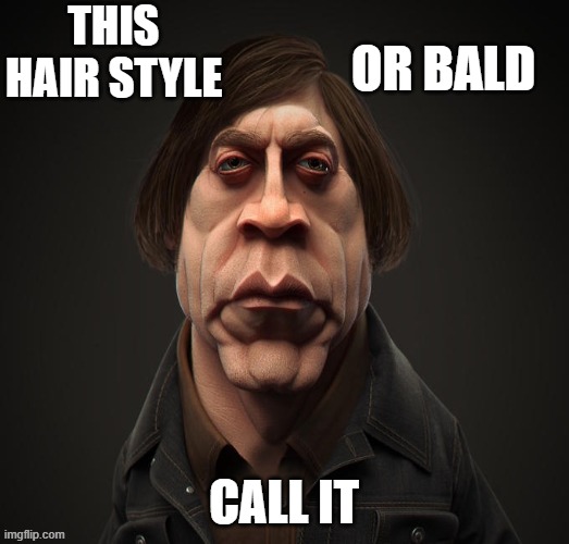 This Hair Style or Bald Call It | THIS HAIR STYLE; OR BALD; CALL IT | image tagged in call it | made w/ Imgflip meme maker