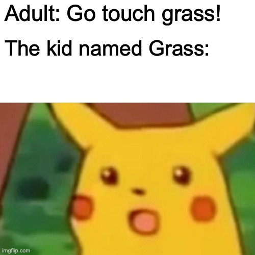 Surprised Pikachu | Adult: Go touch grass! The kid named Grass: | image tagged in memes,surprised pikachu | made w/ Imgflip meme maker