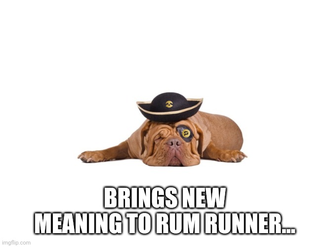 pirate dog | BRINGS NEW MEANING TO RUM RUNNER... | image tagged in pirate dog | made w/ Imgflip meme maker