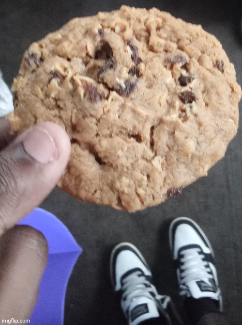 Taking a bite out of these cookies so you don't have to. Wish me luck. | image tagged in images,cookies | made w/ Imgflip meme maker