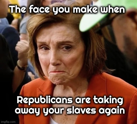 "Throughout the history of man there have always been disposable people" - Gene Roddenberry | The face you make when; Republicans are taking away your slaves again | image tagged in democrats democratting,slavery,well yes but actually no,a rose by any other name,illegal aliens | made w/ Imgflip meme maker
