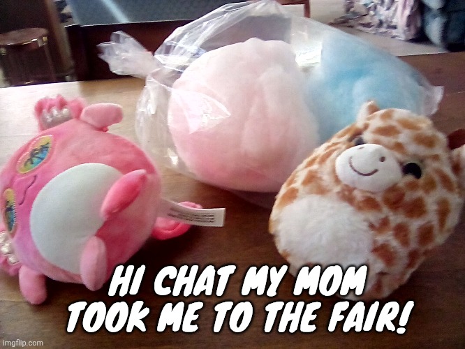 Walla walla - the offspring | HI CHAT MY MOM TOOK ME TO THE FAIR! | made w/ Imgflip meme maker