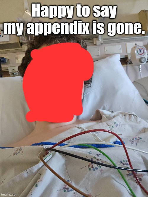 Happy to say my appendix is gone. | made w/ Imgflip meme maker