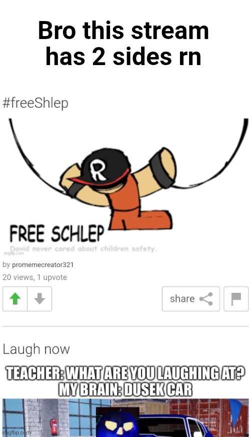 Half the stream is trying to free schlep and the other side is meme-ing | Bro this stream has 2 sides rn | made w/ Imgflip meme maker