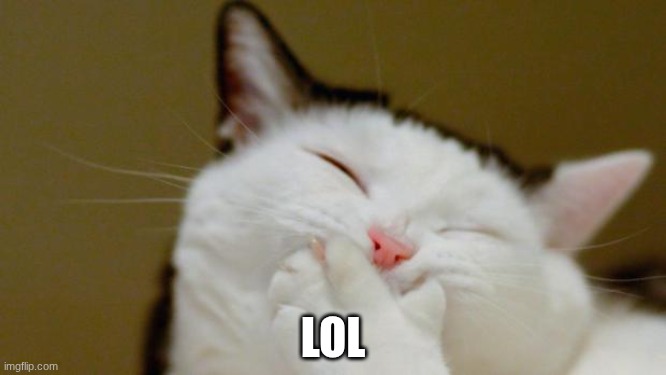 Laughing Cat | LOL | image tagged in laughing cat | made w/ Imgflip meme maker