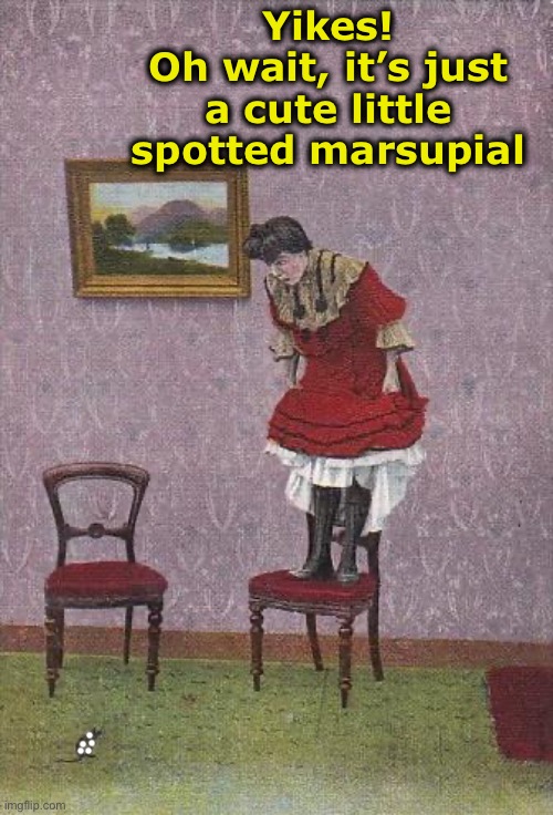 Yikes!
Oh wait, it’s just a cute little spotted marsupial | made w/ Imgflip meme maker