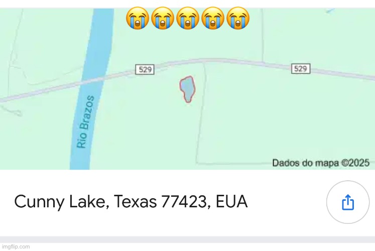 WHAT DID TEXANS MEANT BY THIS?! | 😭😭😭😭😭 | image tagged in cute,funny,blue archive,black souls | made w/ Imgflip meme maker