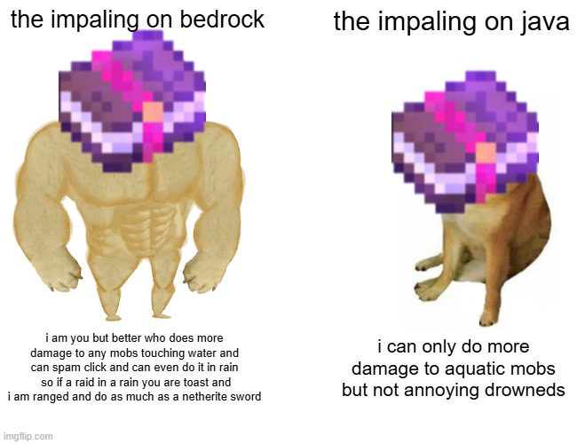 why does the impaling enchantment a useless enchantment do more damage to mobs touching water in bedrock edition explain me why | the impaling on bedrock; the impaling on java; i am you but better who does more damage to any mobs touching water and can spam click and can even do it in rain  so if a raid in a rain you are toast and i am ranged and do as much as a netherite sword; i can only do more damage to aquatic mobs but not annoying drowneds | image tagged in memes,buff doge vs cheems | made w/ Imgflip meme maker