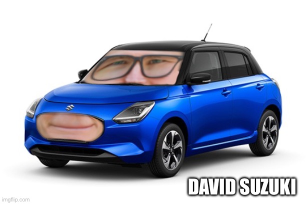 David Baszucki Meme | DAVID SUZUKI | image tagged in roblox,memes,funny,cars | made w/ Imgflip meme maker