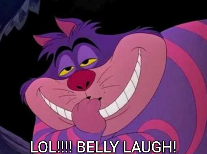 Clever | LOL!!!! BELLY LAUGH! | image tagged in clever | made w/ Imgflip meme maker