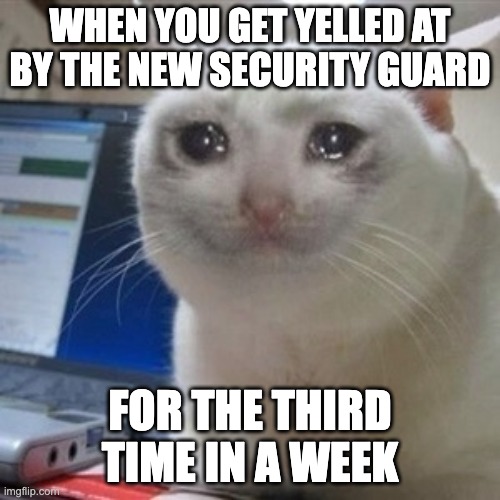 And it's the first week, too | WHEN YOU GET YELLED AT BY THE NEW SECURITY GUARD; FOR THE THIRD TIME IN A WEEK | image tagged in crying cat | made w/ Imgflip meme maker
