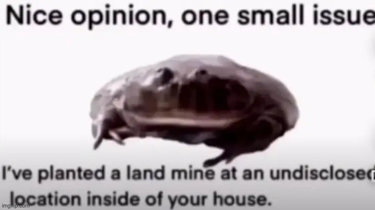 Nice opinion | image tagged in nice opinion | made w/ Imgflip meme maker
