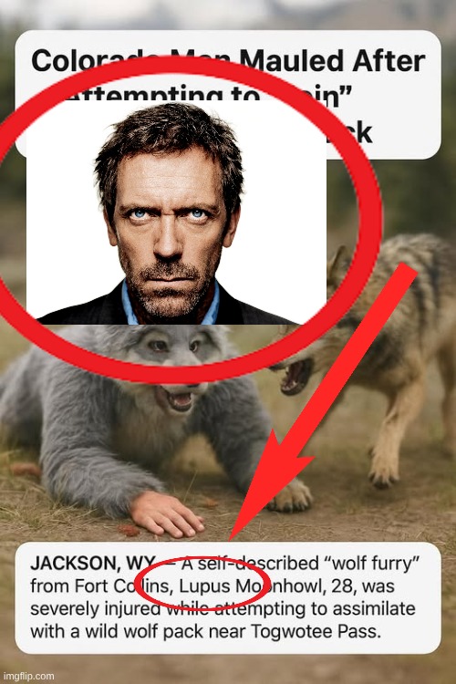 never | made w/ Imgflip meme maker