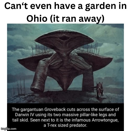 ⢀⡴⠑⡄⠀⠀⠀⠀⠀⠀⠀⣀⣀⣤⣤⣤⣀⡀⠀⠀⠀⠀⠀⠀⠀⠀⠀⠀⠀⠀  ⠸⡇⠀⠿⡀⠀⠀⠀⣀⡴⢿⣿⣿⣿⣿⣿⣿⣿⣷⣦⡀⠀⠀⠀⠀⠀⠀⠀⠀⠀  ⠀⠀⠀⠀⠑⢄⣠⠾⠁⣀⣄⡈⠙⣿⣿⣿⣿⣿⣿⣿⣿⣆⠀⠀⠀⠀⠀⠀⠀⠀  ⠀⠀⠀⠀⢀⡀⠁⠀⠀⠈⠙⠛⠂⠈⣿⣿⣿⣿⣿⠿⡿⢿⣆⠀⠀⠀⠀⠀⠀⠀ | image tagged in only in ohio,alien | made w/ Imgflip meme maker