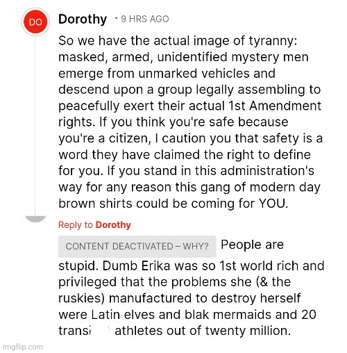 Content deactivated aka silenced, censored, banned | image tagged in news,free speech,dumb erika | made w/ Imgflip meme maker