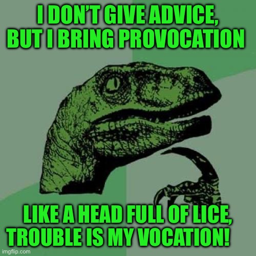 Philosoraptor | I DON’T GIVE ADVICE, BUT I BRING PROVOCATION; LIKE A HEAD FULL OF LICE, TROUBLE IS MY VOCATION! | image tagged in memes,philosoraptor | made w/ Imgflip meme maker