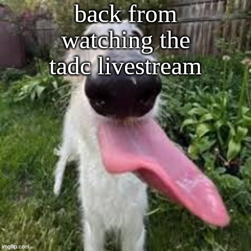 dog | back from watching the tadc livestream | image tagged in dog | made w/ Imgflip meme maker