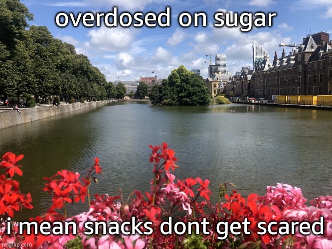 midnight snac | overdosed on sugar; i mean snacks dont get scared | image tagged in roses | made w/ Imgflip meme maker