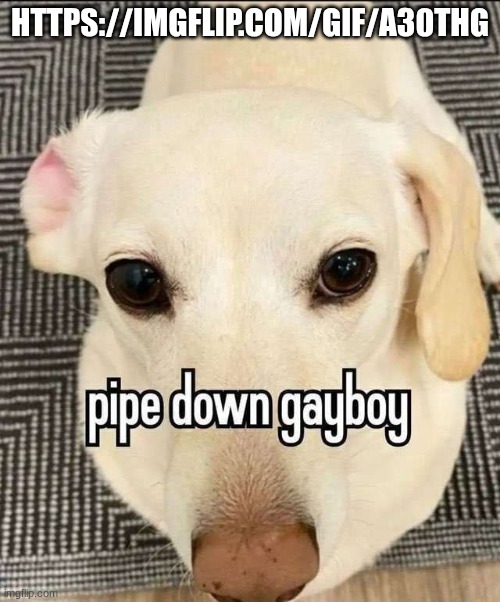 i just need a couple more upvotes to reach 10k | HTTPS://IMGFLIP.COM/GIF/A30THG | image tagged in pipe down gayboy | made w/ Imgflip meme maker