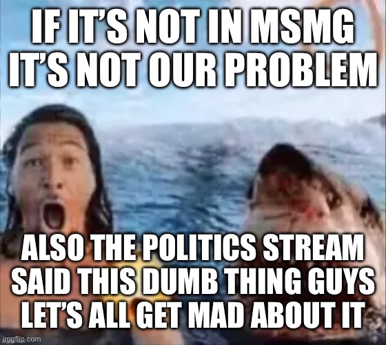 Shark | IF IT’S NOT IN MSMG IT’S NOT OUR PROBLEM; ALSO THE POLITICS STREAM SAID THIS DUMB THING GUYS
LET’S ALL GET MAD ABOUT IT | image tagged in shark | made w/ Imgflip meme maker