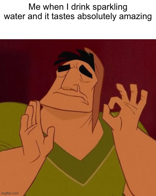Absolute perfection | Me when I drink sparkling water and it tastes absolutely amazing | image tagged in when x just right,sparkling water,perfection | made w/ Imgflip meme maker