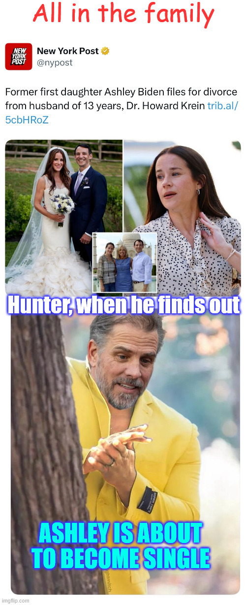 All in the family | All in the family; Hunter, when he finds out; ASHLEY IS ABOUT TO BECOME SINGLE | image tagged in biden crime family,hunter,ashley,reunion | made w/ Imgflip meme maker