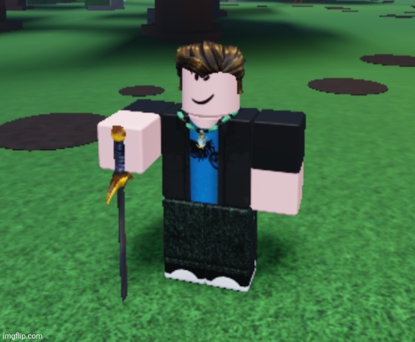Idiot | image tagged in roblox | made w/ Imgflip meme maker