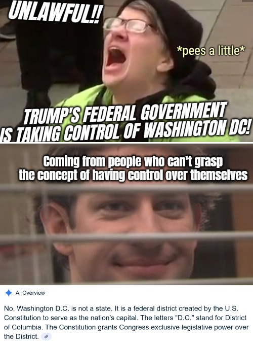 We're almost there where Trump taking a dump in the presidential toilet is unlawful | Coming from people who can't grasp the concept of having control over themselves | image tagged in jim smiles trough windows,screaming liberal,irony,democrats,trump derangement syndrome | made w/ Imgflip meme maker