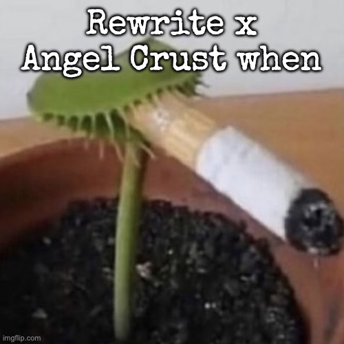 plant weeds | Rewrite x Angel Crust when | image tagged in plant weeds | made w/ Imgflip meme maker