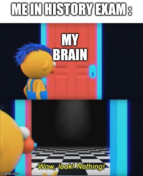 My teacher said, "If you're a master of Math, you'll ace History as well!" That, did not help me. | ME IN HISTORY EXAM :; MY
BRAIN | image tagged in wow look nothing | made w/ Imgflip meme maker