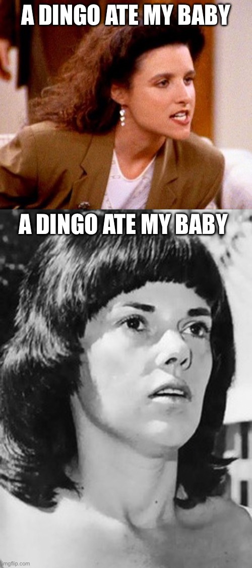 A DINGO ATE MY BABY A DINGO ATE MY BABY | image tagged in maybe dingos ate your baby,lindy chamberlain | made w/ Imgflip meme maker