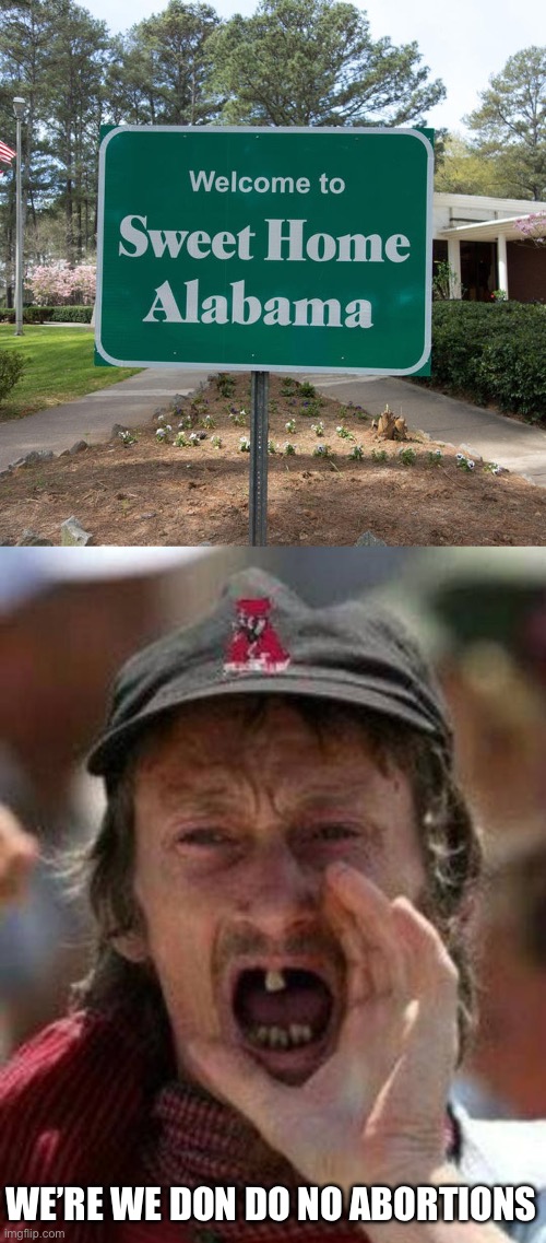 Alabama Lore and Law | WE’RE WE DON DO NO ABORTIONS | image tagged in welcome to sweet home alabama,toothless alabama,law | made w/ Imgflip meme maker
