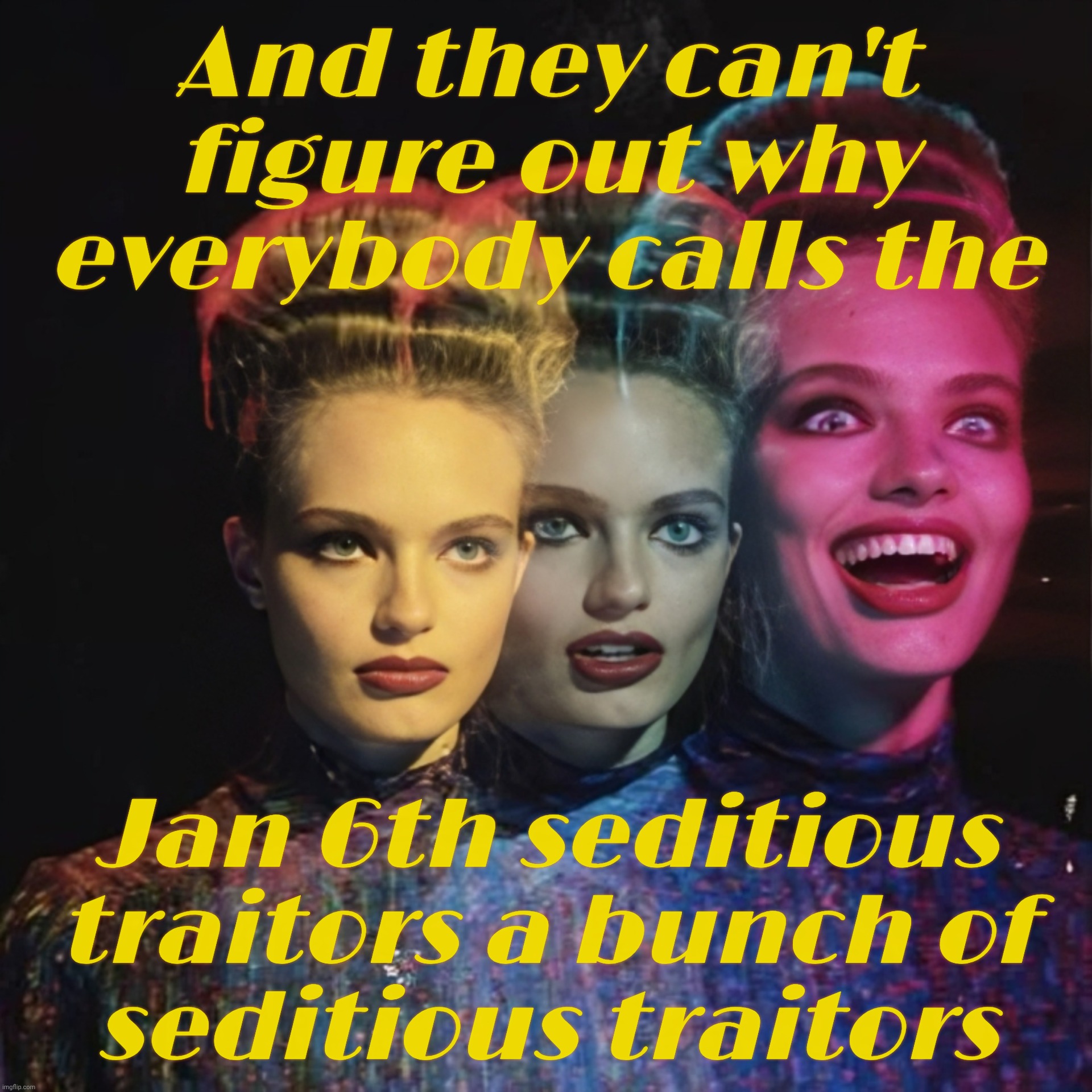 If it walks like a duck, and it quacks like a duck, THEN it ain't a seditious traitor MAGAt hellbent on ending the USA | And they can't figure out why
everybody calls the Jan 6th seditious traitors a bunch of
seditious traitors | image tagged in ah ha,walks quacks duck,january 6th,magat seditious traitors,limpsurrection,ruskie ball lickers | made w/ Imgflip meme maker