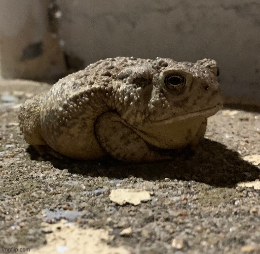 Fatty | made w/ Imgflip meme maker