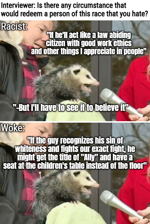 And that's the basics | Interviewer: Is there any circumstance that would redeem a person of this race that you hate? Racist:; "If he'll act like a law abiding citizen with good work ethics and other things I appreciate in people"; "-But I'll have to see it to believe it"; Woke:; "If the guy recognizes his sin of whiteness and fights our exact fight, he might get the title of "Ally" and have a seat at the children's table instead of the floor" | image tagged in interview possum,racism,woke,identity politics | made w/ Imgflip meme maker