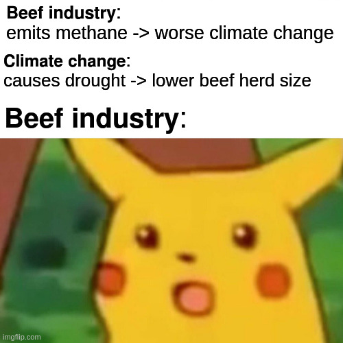 Turns out that actions can have consequences | 𝗕𝗲𝗲𝗳 𝗶𝗻𝗱𝘂𝘀𝘁𝗿𝘆: 
emits methane -> worse climate change; 𝗖𝗹𝗶𝗺𝗮𝘁𝗲 𝗰𝗵𝗮𝗻𝗴𝗲: 
causes drought -> lower beef herd size; 𝗕𝗲𝗲𝗳 𝗶𝗻𝗱𝘂𝘀𝘁𝗿𝘆: | image tagged in memes,surprised pikachu,environment,climate change,meat,consumerism | made w/ Imgflip meme maker