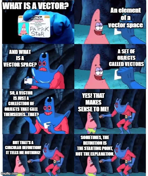 patrick not my wallet | WHAT IS A VECTOR? An element of a vector space; AND WHAT IS A VECTOR SPACE? A SET OF OBJECTS CALLED VECTORS; SO, A VECTOR IS JUST A COLLECTION OF OBJECTS THAT CALL THEMSELVES...THAT? YES! THAT MAKES SENSE TO ME! SOMETIMES, THE DEFINITION IS THE STARTING POINT, NOT THE EXPLANATION. BUT THAT'S A CIRCULAR DEFINITION! IT TELLS ME NOTHING! | image tagged in patrick not my wallet | made w/ Imgflip meme maker