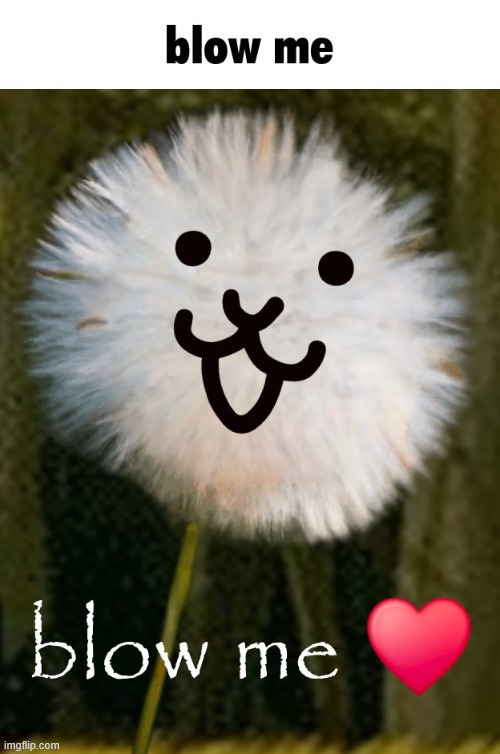 Blow Me | image tagged in blow me | made w/ Imgflip meme maker