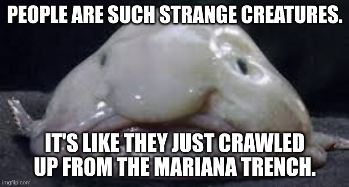 strange | PEOPLE ARE SUCH STRANGE CREATURES. IT'S LIKE THEY JUST CRAWLED UP FROM THE MARIANA TRENCH. | image tagged in blobfish | made w/ Imgflip meme maker