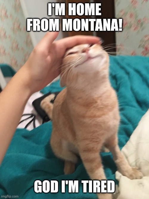 Like bro, it was a SEVEN HOUR BYS RIDE!!! | I'M HOME FROM MONTANA! GOD I'M TIRED | image tagged in cat pat | made w/ Imgflip meme maker