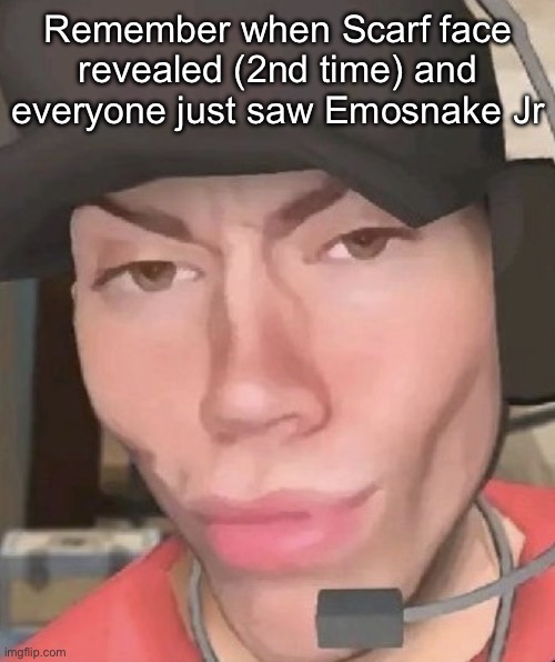 Irl scout | Remember when Scarf face revealed (2nd time) and everyone just saw Emosnake Jr | image tagged in irl scout | made w/ Imgflip meme maker