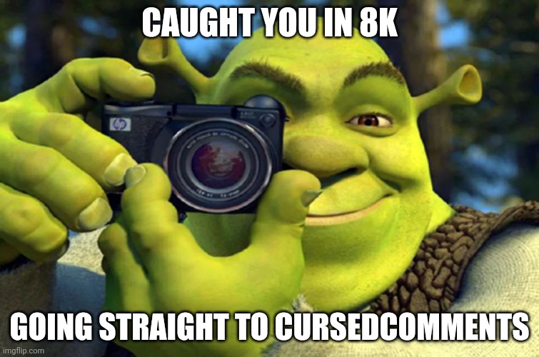Shrek Caught in 4K | CAUGHT YOU IN 8K GOING STRAIGHT TO CURSEDCOMMENTS | image tagged in shrek caught in 4k | made w/ Imgflip meme maker
