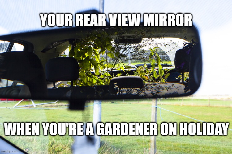 Gardeners on holiday | YOUR REAR VIEW MIRROR; WHEN YOU'RE A GARDENER ON HOLIDAY | image tagged in gardeners on holiday,gardening,funny,holiday,mirror,plants | made w/ Imgflip meme maker